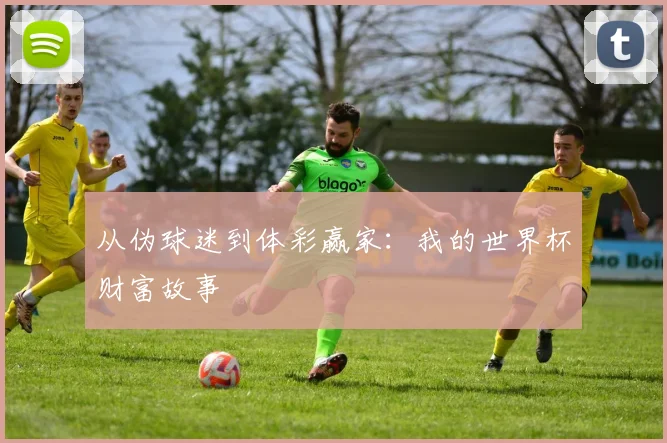 从伪球迷到体彩赢家：我的世界杯财富故事