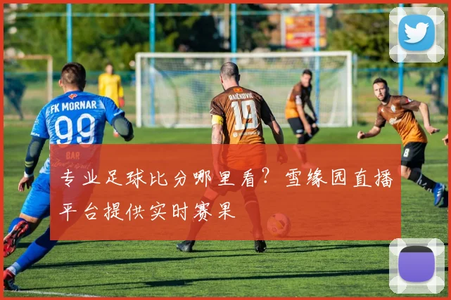 专业足球比分哪里看？雪缘园直播平台提供实时赛果