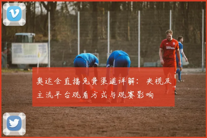 奥运会直播免费渠道详解：央视及主流平台观看方式与观赛影响