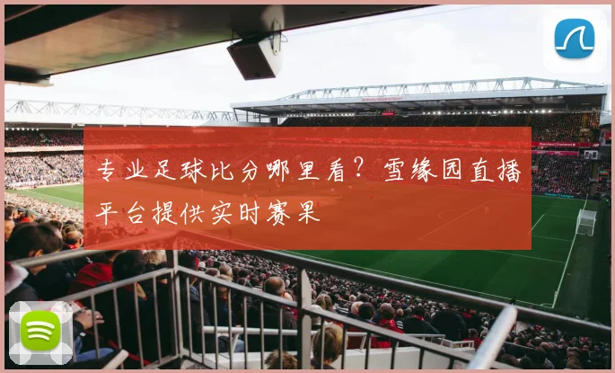 专业足球比分哪里看？雪缘园直播平台提供实时赛果